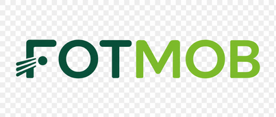 fotmob site logo